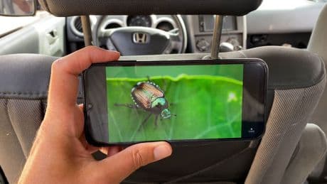 Günstige Handyhalterung fürs Auto: So geht's mit einem Gefrierbeutel