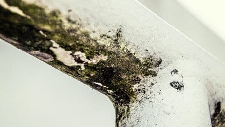 Got Mould? Here's How 'Burping' Your Home Can Help