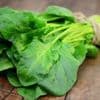 Comment aider son bébé à diversifier son alimentation ?