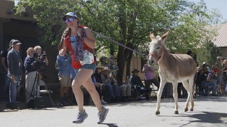 Burro racing wins over runners in backcountry ode to mining history