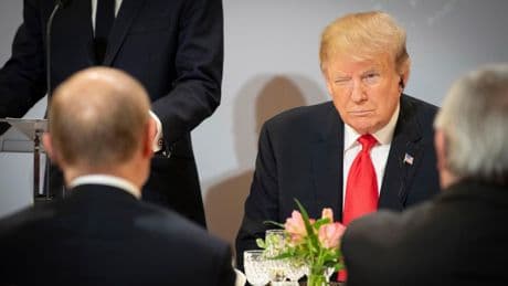 Interview: "Die Europäer haben Trump den Weg zum Sieg gezeigt"