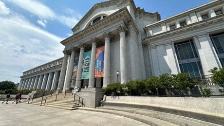 Smithsonian exhibit monkeys around with the scientific evidence on human origins