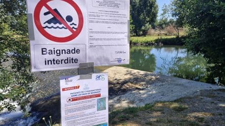 Fermeture de plages : quelles bactéries sont coupables ?