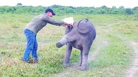 Ziemlich beste Freunde - Happy-Fant jagt Lieblings-Pfleger