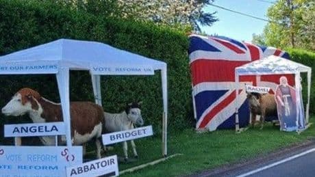 Nigel Farage admits depicting Angela Rayner as cow in abbatoir ‘not very funny’