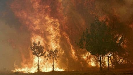En vingt ans, l’exposition de la population mondiale à des incendies a bondi de 40 %