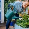Four ways your plants could be affected by spring heatwave