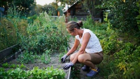 Gartenpflege im Mai: Was jetzt im Garten wichtig ist