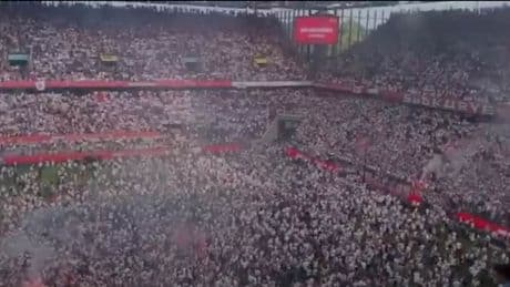 Hier stürmen die Fans nach dem Aufstieg des 1. FC Köln den Rasen