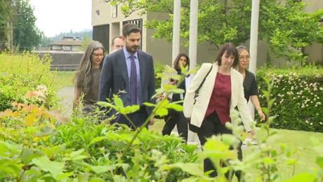 No jail time for lawyer who attacked 80-year-old with knife in Deep Cove