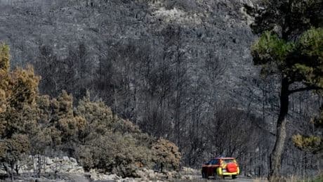 Incendie dans l'Aude: le procureur de Montpellier indique que la cause "pourrait être criminelle"