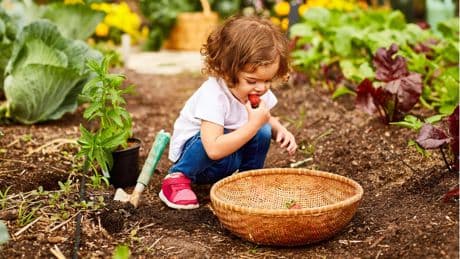 Tipps & Tools: Pflegen, naschen, säen: Wie Gartenarbeit im Juni besonders viel Spaß macht