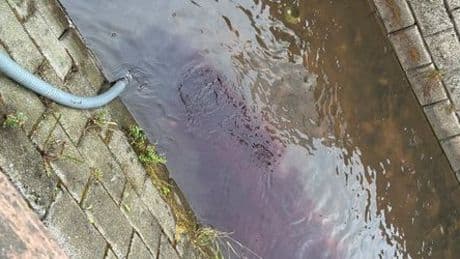 Rheinland-Pfalz: Rotwein aus 30.000-Liter-Tank in Bach abgeleitet
