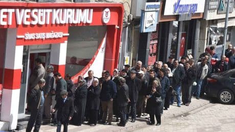 Et ve Süt Kurumuna damızlık hayvan ithalatı yetkisi verildi