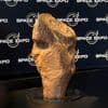 Sterrenwacht veilt meteoriet van 240 kilo: ‘Verwacht dat object tot een miljoen euro opbrengt’
