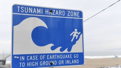 Scientists warn if a 1,000-ft ‘mega-tsunami’s spurs from an active fault line it could wipe part of America off the map