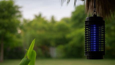 Di adiós a los mosquitos con estas lámparas eléctricas antinsectos seguras y muy eficaces