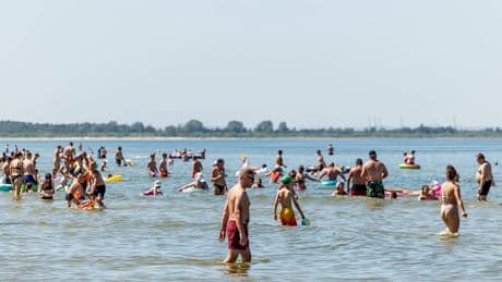 Gefahr an deutschen Stränden: Neue Bakterien breiten sich aus - Krankheiten möglich