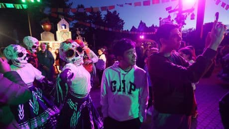 Canada’s Wonderland starting fall chaperone policy amid ‘unruly’ behaviour
