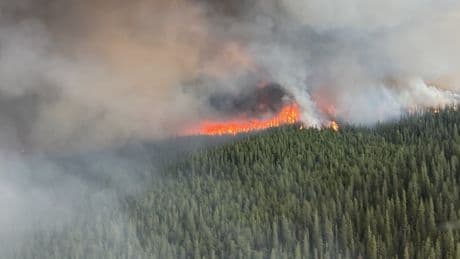 Climate Change Is Making Fire Weather Worse for World’s Forests