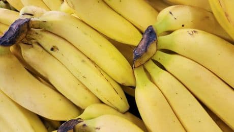 Botanischer Irrtum: Warum die Banane eine Beere ist