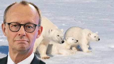 Russen-Propaganda: Merz auf Eisbärjagd? Fake sorgt für Empörung