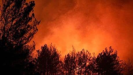 İzmir'de ormanlık alana sıçrayan yangın böyle görüntülendi