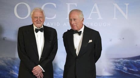 David Attenborough's 'Ocean' is a brutal, beautiful wakeup call from the sea