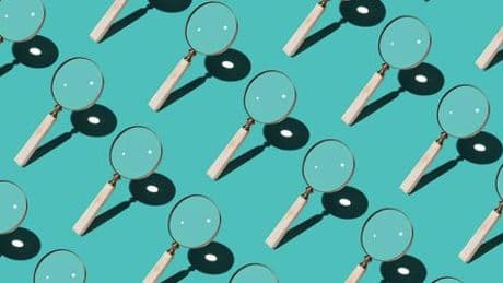 Plagiatsjäger und Krisen in der Politik: Die Plagiatsweber - Kolumne