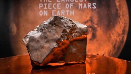 Largest piece of Mars on Earth fetches meteoric $5.3 million at New York auction