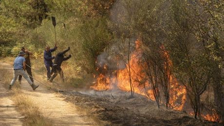 Piden liberar al detenido en Orense por avivar un fuego al intentar extinguirlo: "Se jugó la vida, merece una medalla"