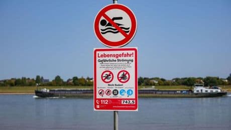 "Höchstens bis zum Knöchel": Dritte Stadt greift durch: Weiteres Badeverbot im Rhein