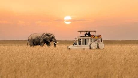 Five ways Africa is reinventing continent as a tourist haven