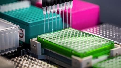 Impfstoff-Riese schreibt rote Zahlen - Biontech vermeldet Millionen-Verlust