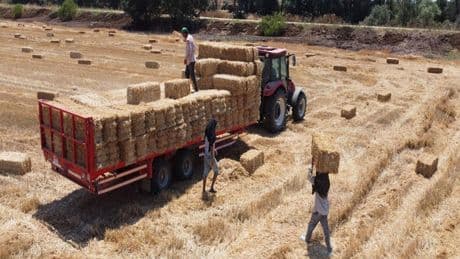 İşçiler kavurucu sıcakta ekmek parası kazanıyor