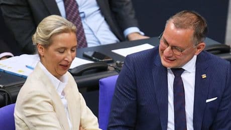 AfD erreicht in Umfrage Rekordwert – Schwarz-Rot auf neuem Tiefpunkt