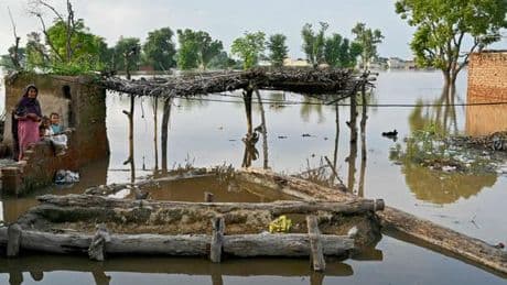 Grenier de l’Inde et du Pakistan, le Pendjab subit la mousson la plus dévastatrice depuis près de quarante ans
