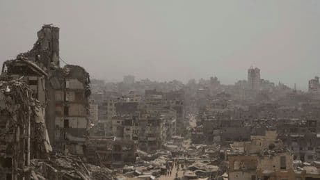 Gaza, Witkoff controlla la distribuzione di aiuti. Ancora morti, Grossman: «Sì, è genocidio»