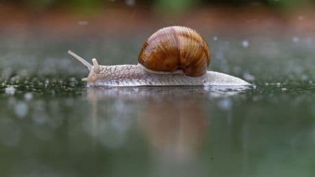 Wetter: Kein Sommer zum Wochenstart - Gewittergefahr am Mittwoch