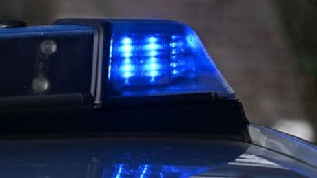 Buchdorf (Donau-Ries): Hund beißt Junge in Kopf und Gesicht und verletzt ihn schwer