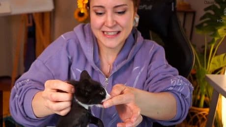 Im Livestream bei Mowky - Baby-Katze beißt deutsche Streamerin