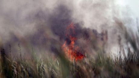 Taming Wild Fires Before They Spiral - Part 2: User Experience