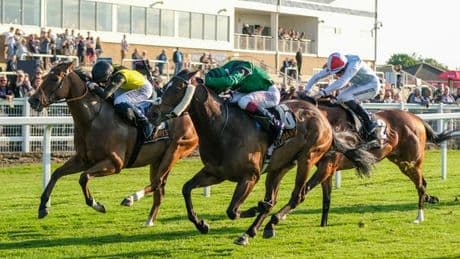 Newsboy's horse racing selections for Monday's four meetings, including Windsor Nap