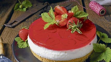 Geliermittel | Es muss nicht Gelatine sein