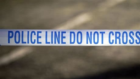 Murder investigation launched after man, 26, stabbed to death in London