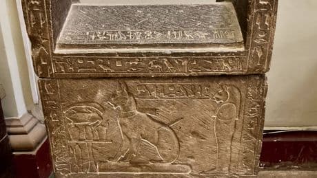 El gato doméstico moderno podría tener su origen en los sacrificios rituales del antiguo Egipto