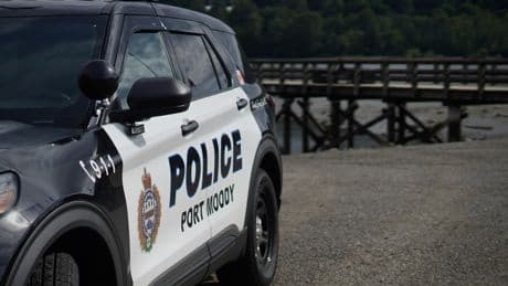 Naked man arrested after alleged assault, knife incident in Port Moody