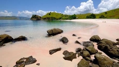 Beautiful island with pure pink beach is like paradise but tourists issued warning