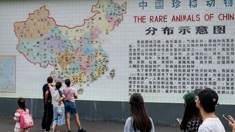 Everyone is Moving to Chengdu. What Does That Say About China’s Economy?