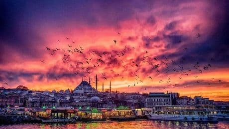 CEM SANCAR / İstanbul İrfanı